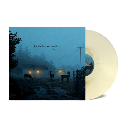 i’ve told the trees everything by Dermot Kennedy - LP - Exclusive Marble Vinyl - shop now at Dermot Kennedy store