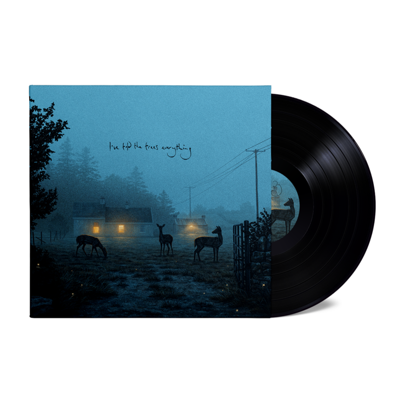 i’ve told the trees everything by Dermot Kennedy - LP - shop now at Dermot Kennedy store