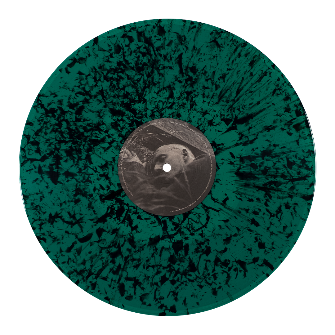 Dermot Kennedy The Weight of the Woods - 'The Hopeful Dark' Exclusive 2LP 440361